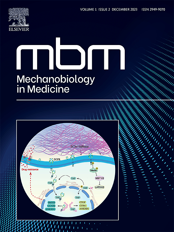 Go to journal home page - Mechanobiology in Medicine